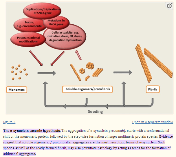 Alpha-synuclein cascade hypothesis