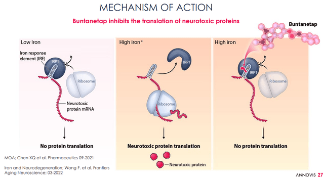 Buntanetap proposed MoA
